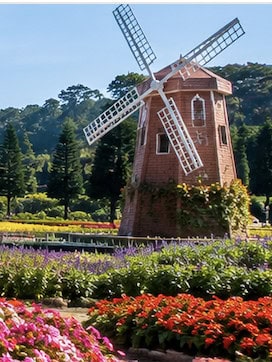 Flower Gardens in Da Lat
