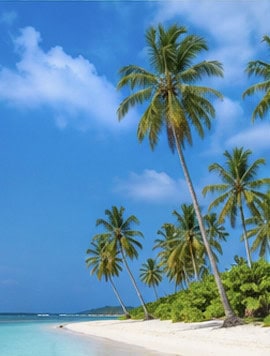 Best Hotels in Mui Ne: 10 Beautiful Beach Resorts