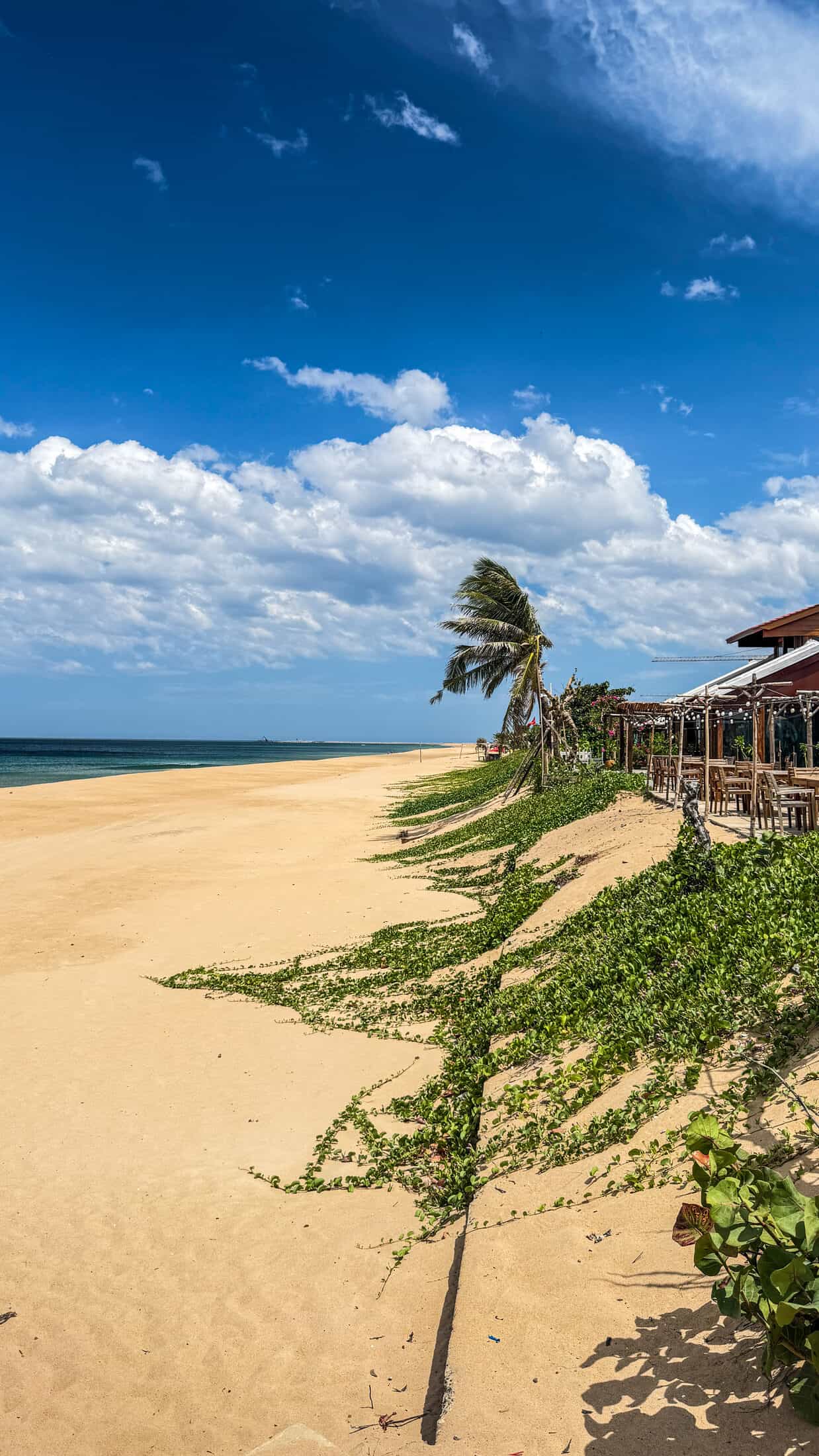 Casa de Rosa, Tuy Hoa