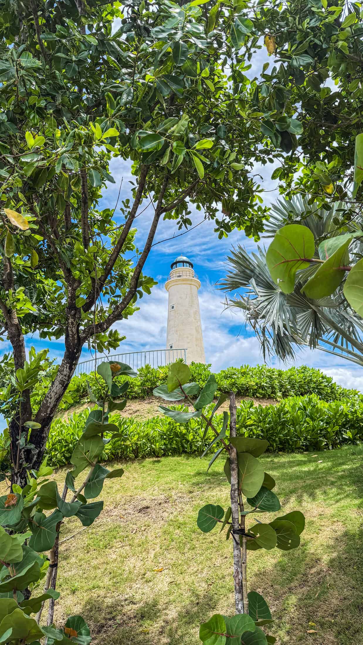 Miniature lighthouse framed by tree branches in Tuy Hoa's coastal park