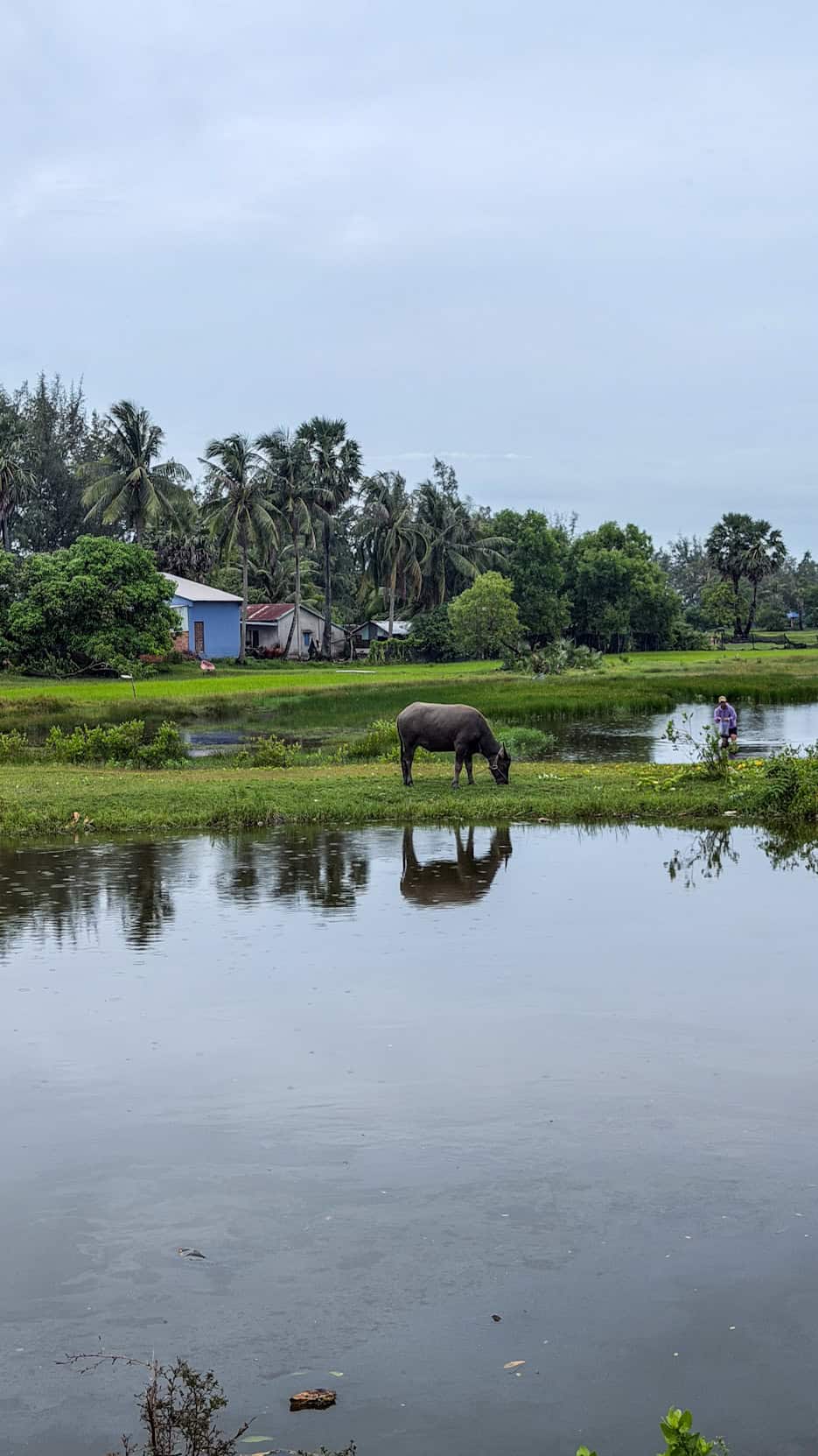 Kien Giang countryside landscape