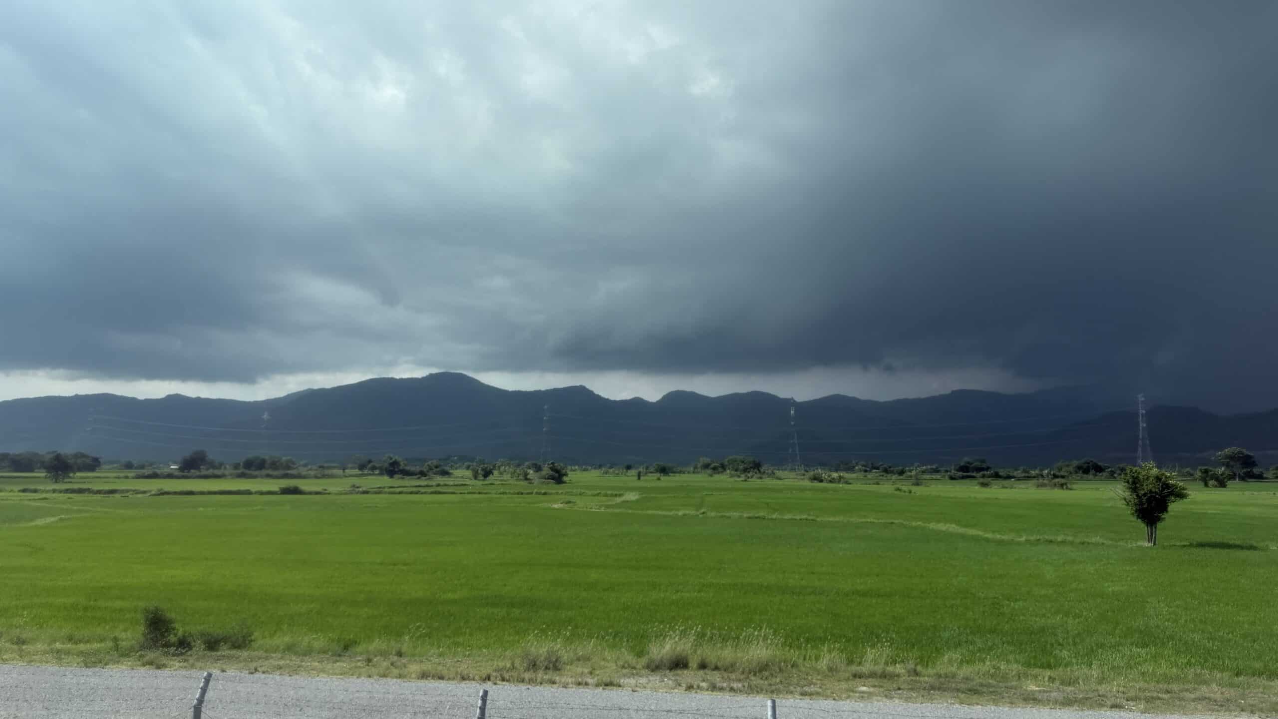 Green fields near Mui Ne, Vietnam