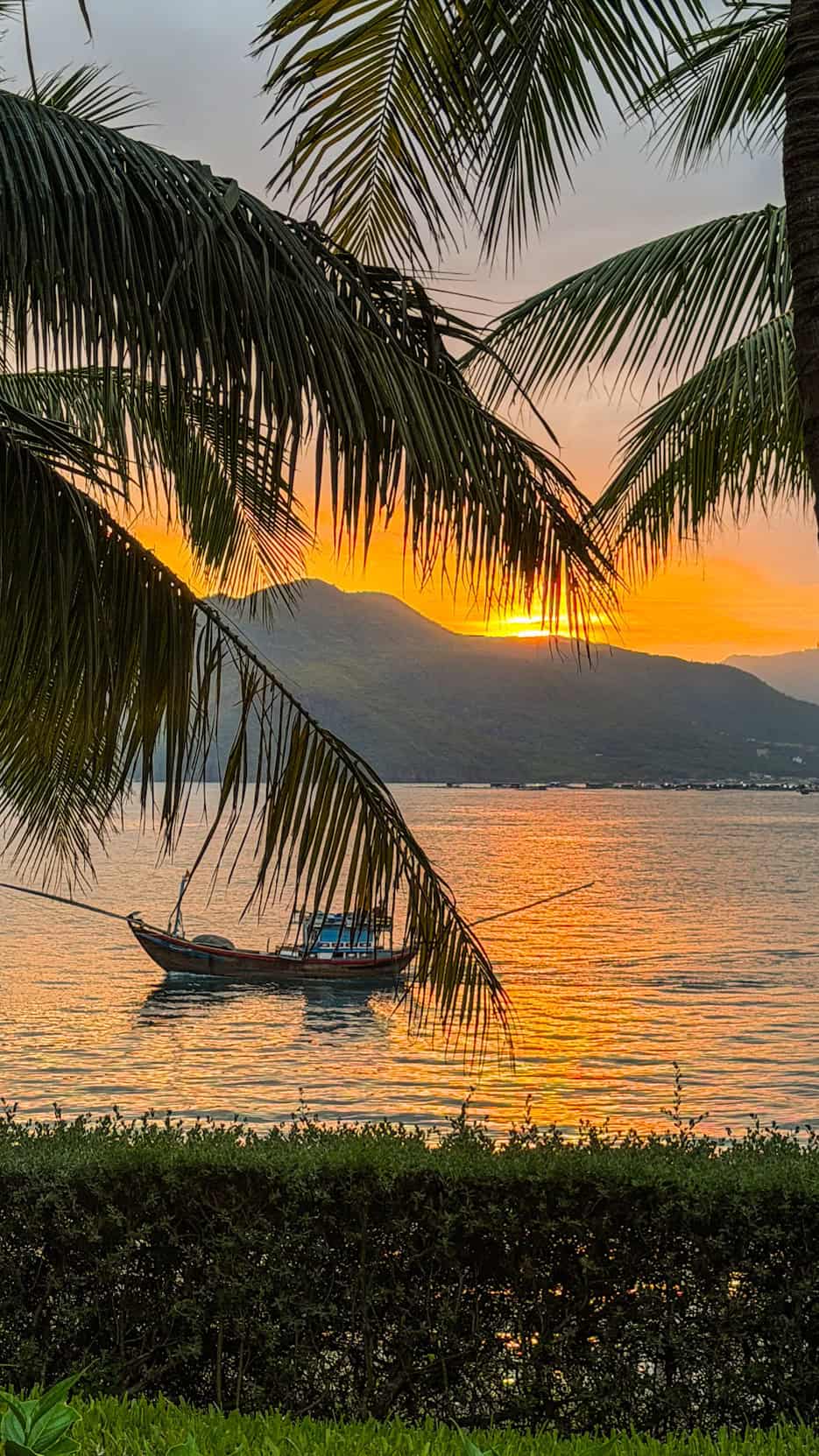 Palm trees silhouetted against a Nha Trang beach sunset