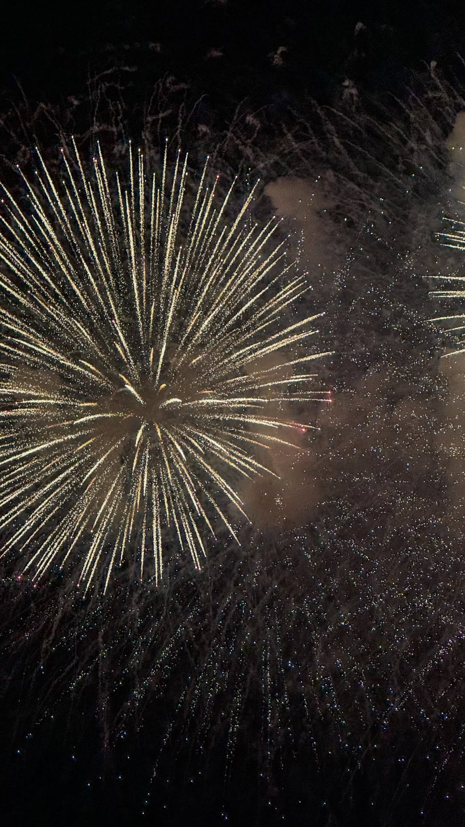 Fireworks lighting up the night sky over Nha Trang Bay