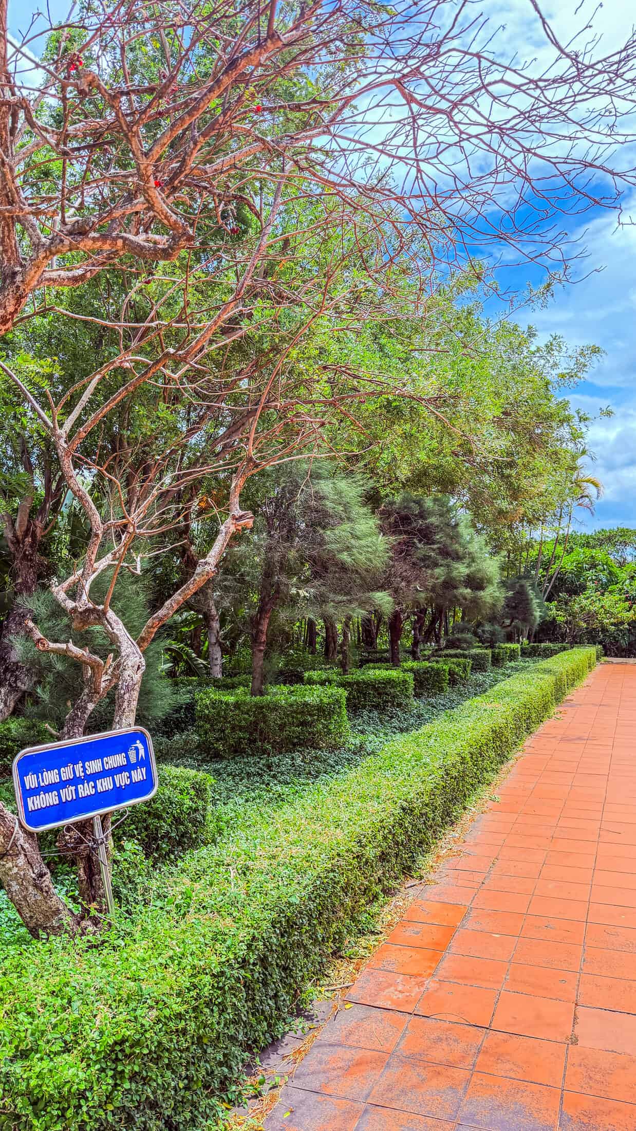 Terracotta walkway lined with trimmed hedges leading up Nhan Mountain to the tower
