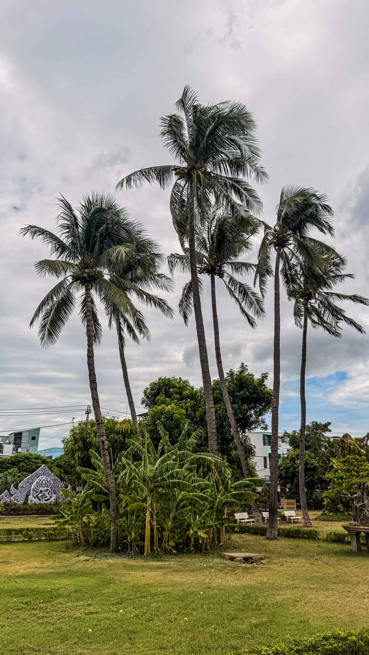 Quy Nhon Green Square park benches and greenery