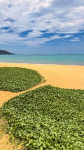 Empty morning sand and turquoise water along Quy Nhon's seafront promenade