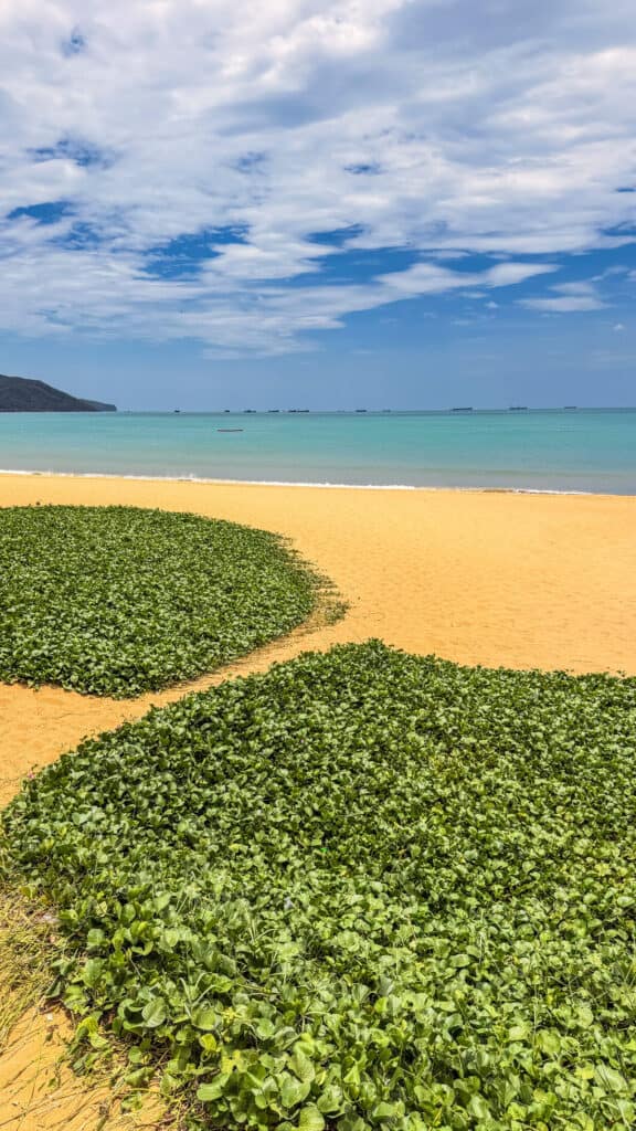 Empty morning sand and turquoise water along Quy Nhon's seafront promenade