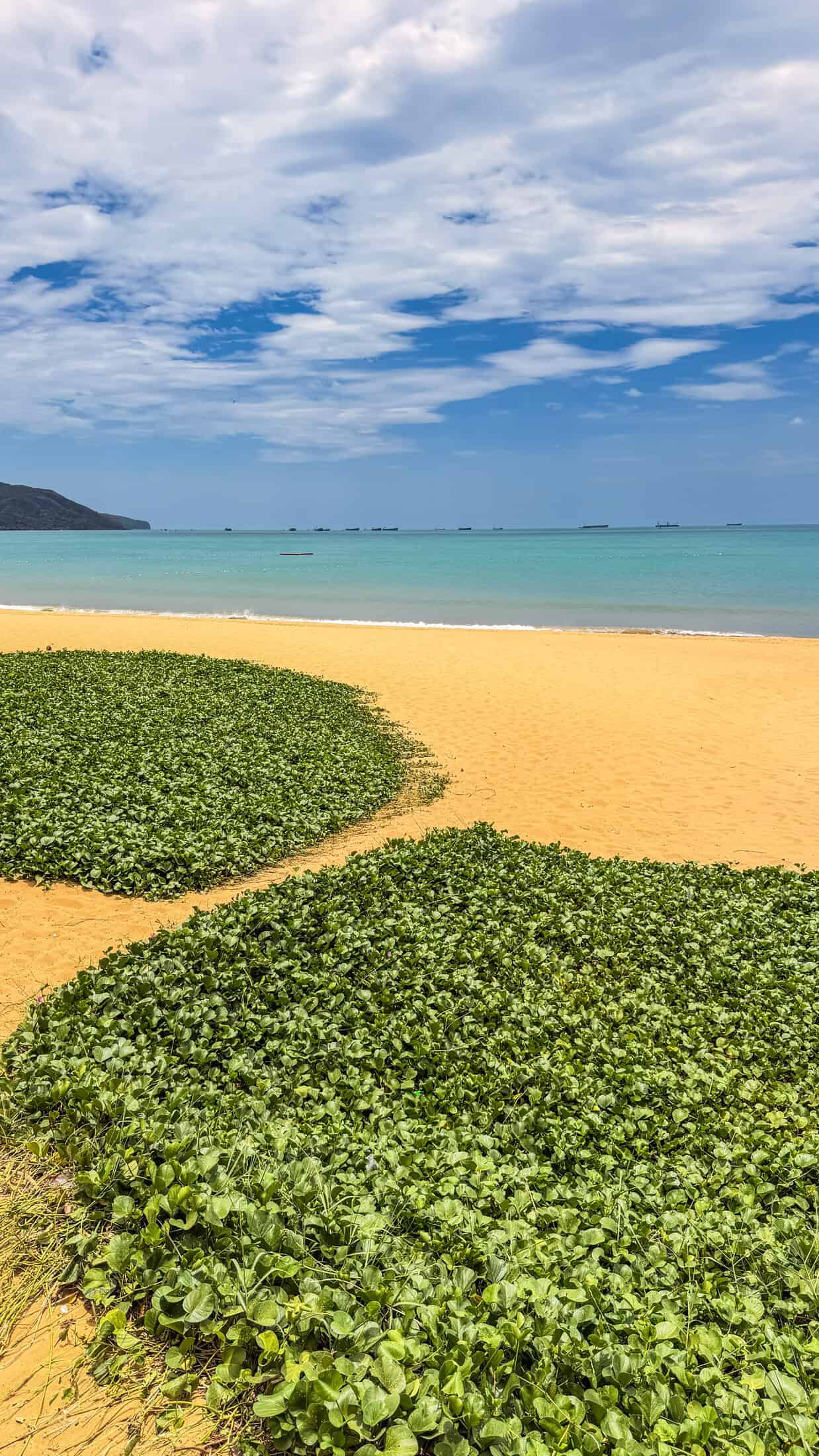 Empty morning sand and turquoise water along Quy Nhon's seafront promenade