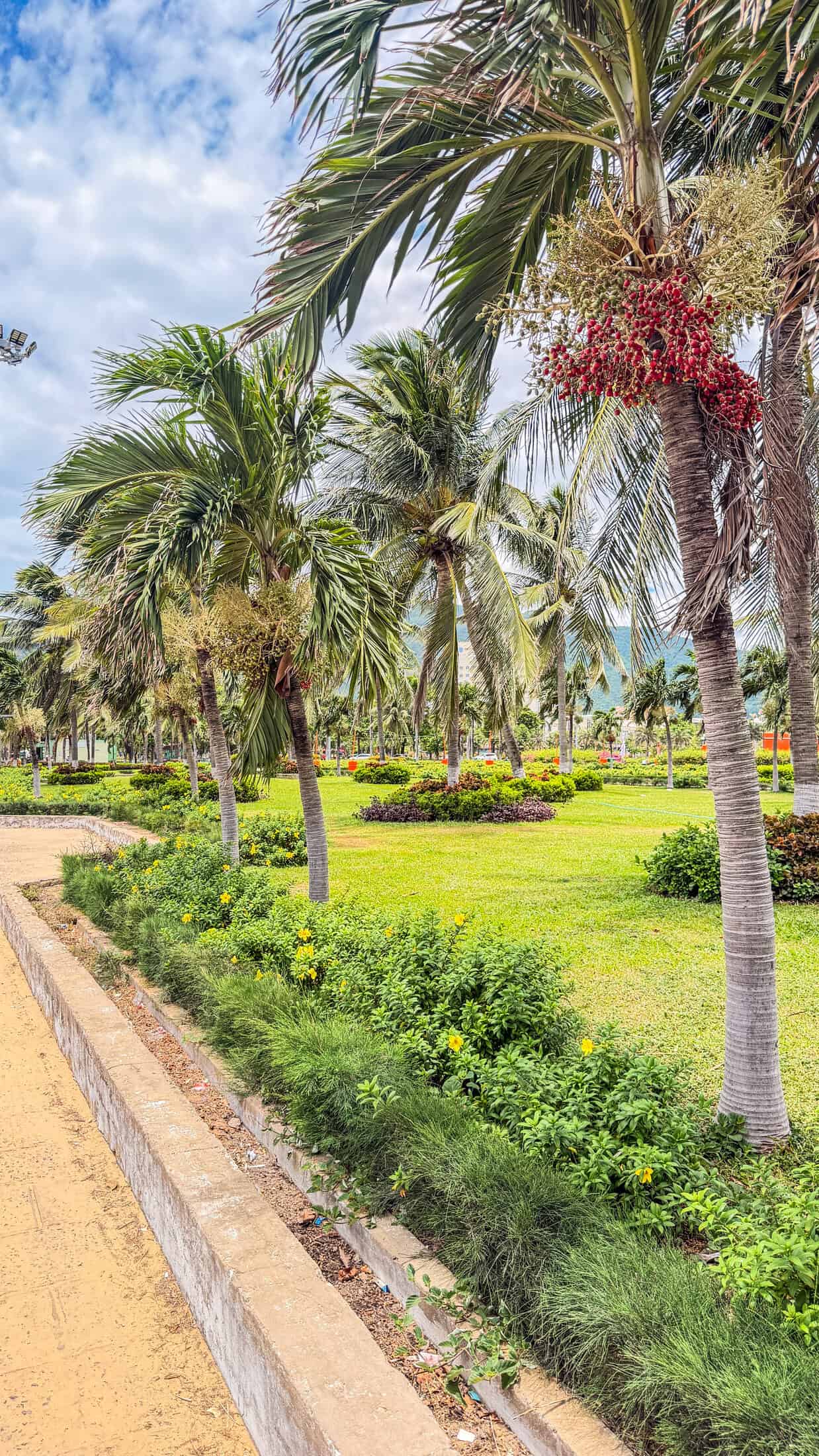 The curve of Quy Nhon bay seen from the promenade beach