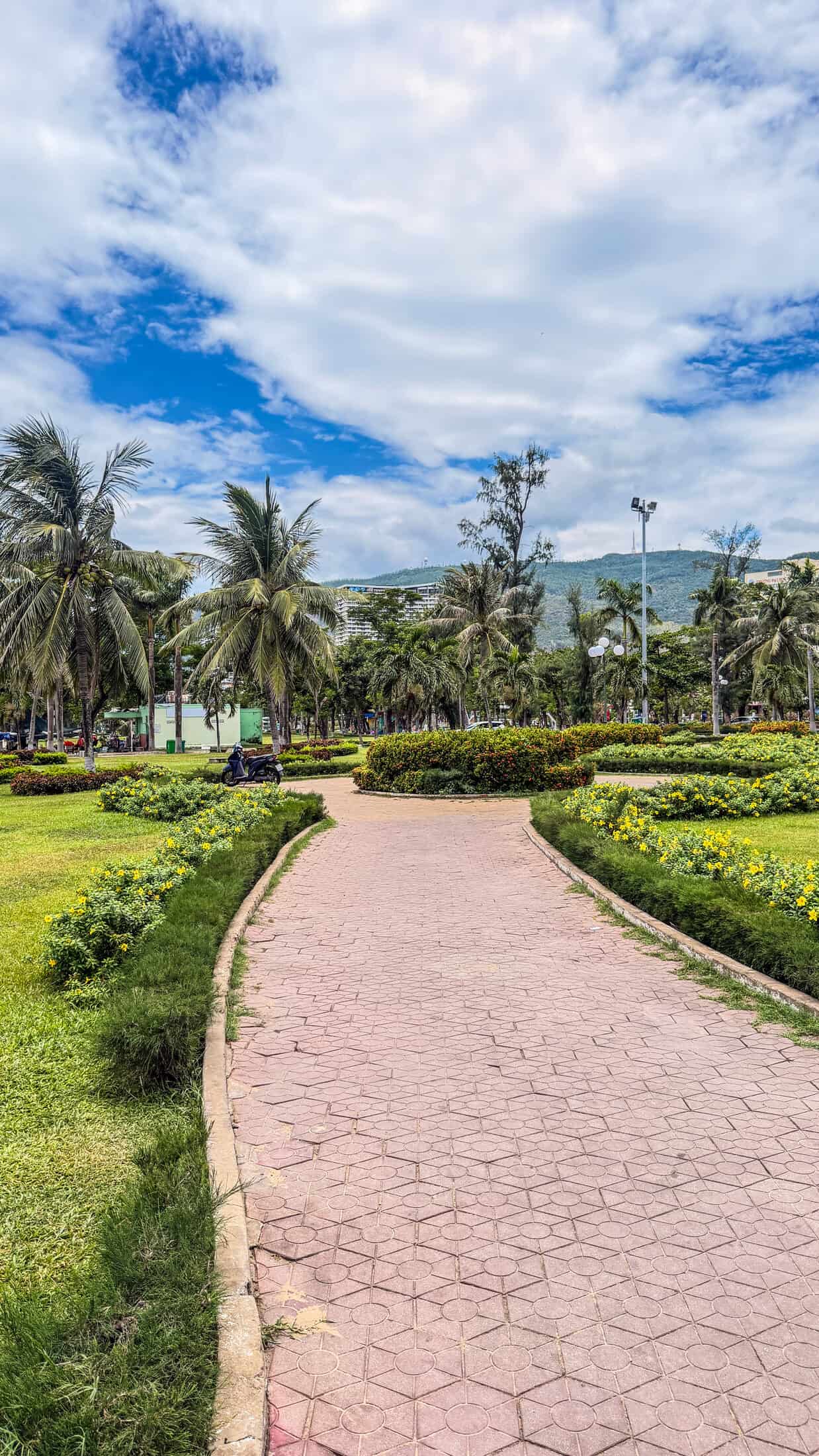 Palm-lined boulevard along Quy Nhon's seafront promenade