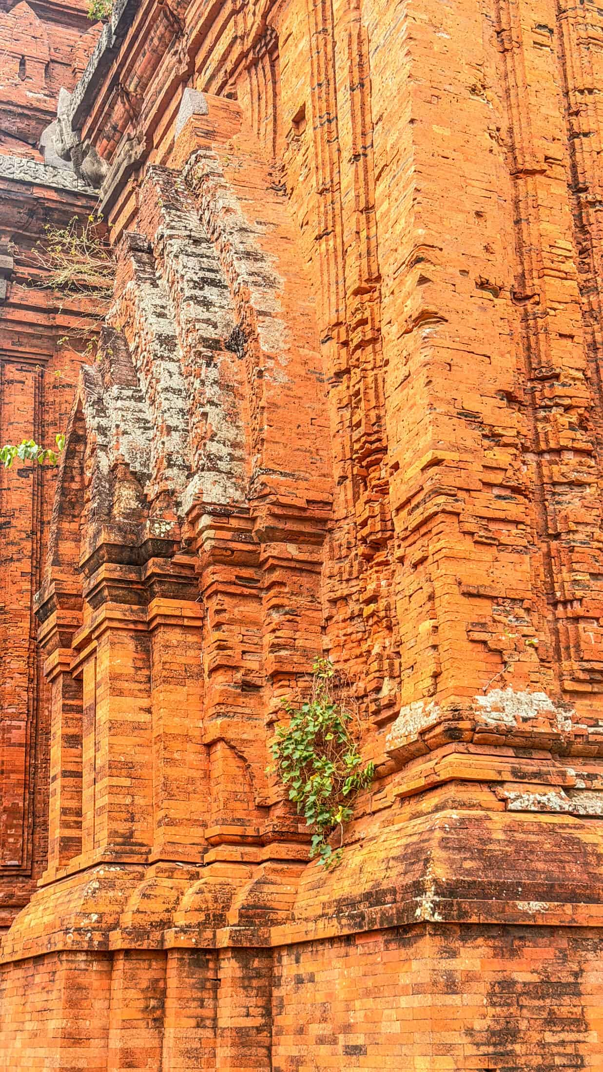 Tháp Đôi towers and park grounds, Quy Nhon