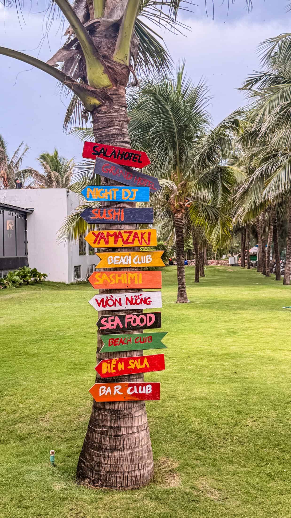 Colorful hand-painted directional signs nailed to a palm trunk pointing to beach clubs along Tuy Hoa's promenade
