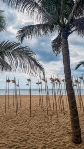 Palm tree and sun umbrellas on Tuy Hoa beach