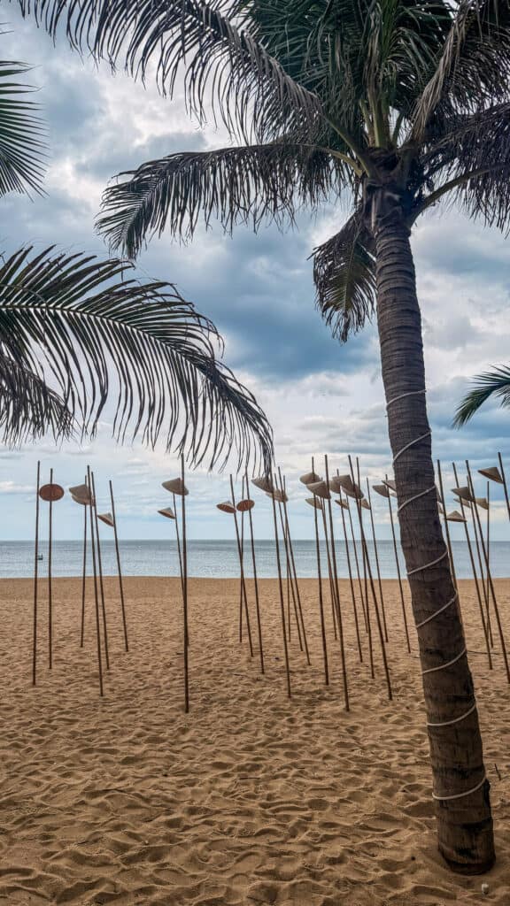Palm tree and sun umbrellas on Tuy Hoa beach