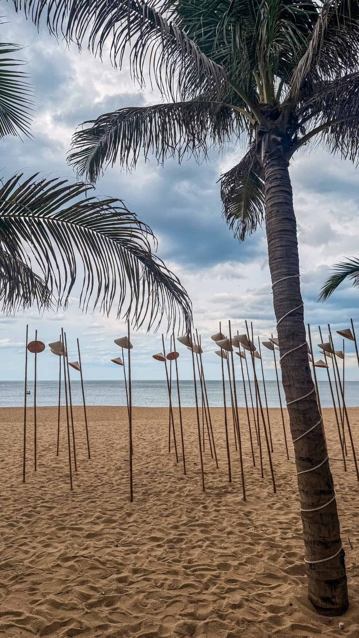 Palm tree and sun umbrellas near Tuy Hoa beach, close to the budget hotels Tuy Hoa area covered in this guide