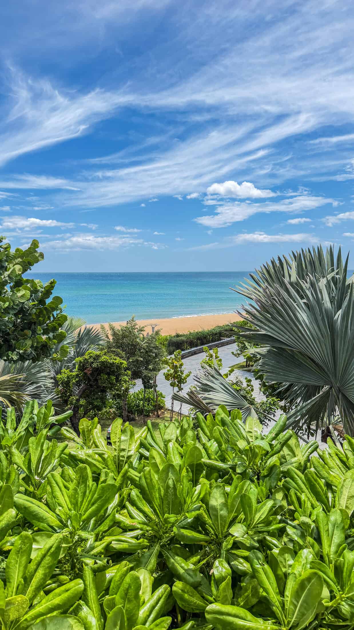 View down through tropical greenery to the sand and sea along Tuy Hoa's coastal park