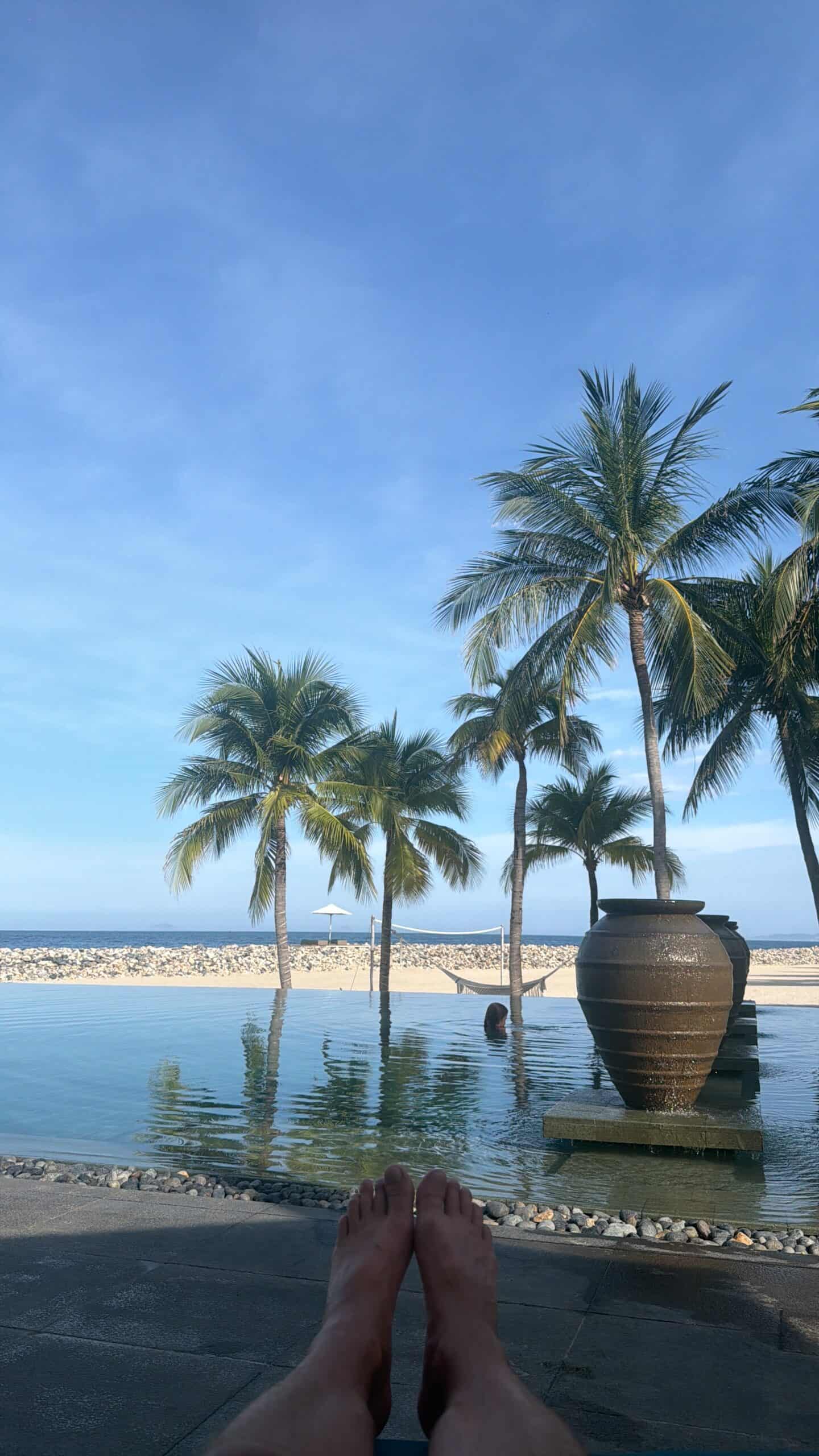 Palm-lined beach on the Vietnamese coast
